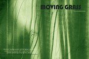Greenery - abstract backgrounds, a Background Graphic by DigARTbyHavroshka (Thumbnail 3 of 9)