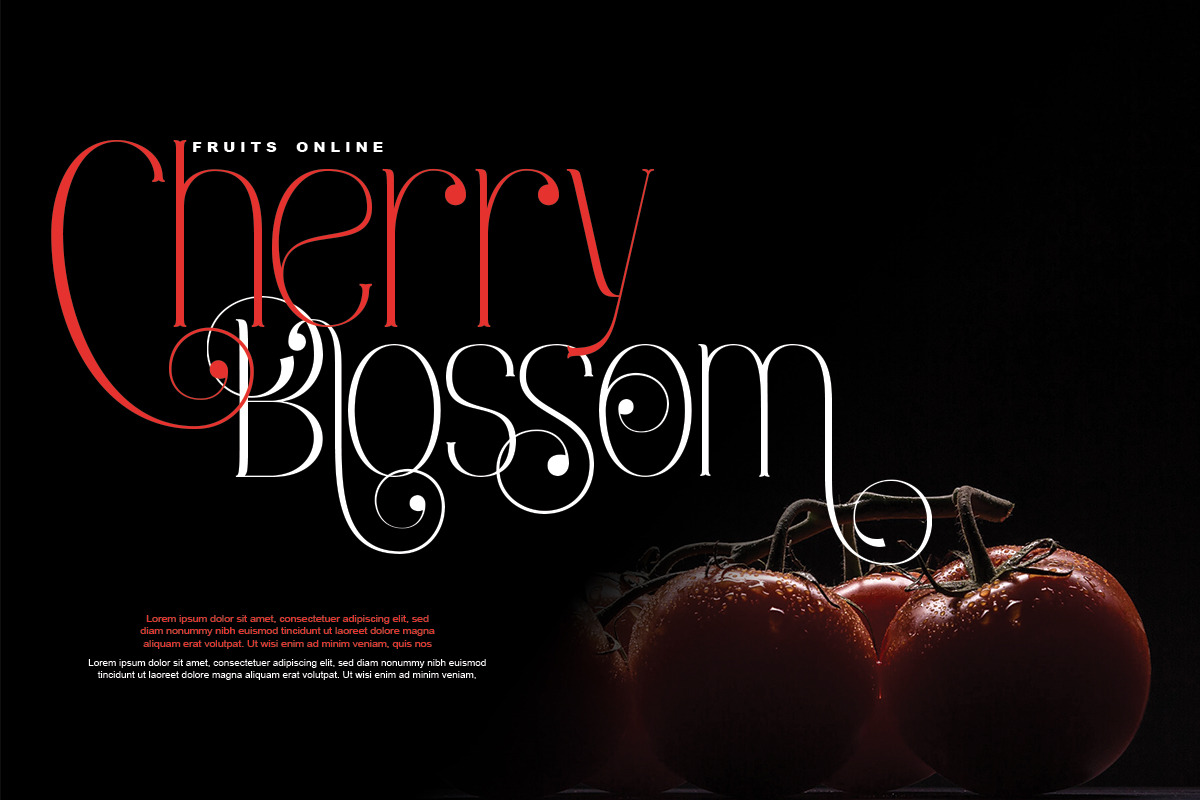 Viona Niosa, a Serif Font by Bramcreative (Photo 8 of 10)