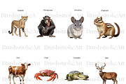 Realistic Animals Clipart, Lion PNG, an Animal Illustration by BrushstrokeArtGB (Thumbnail 4 of 9)