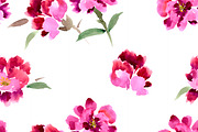 №1 Peony, painted in watercolor, a Presentation Template by Rasveta (Thumbnail 3 of 4)