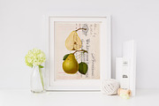 Vintage Ephemera and Overlays, a Texture Graphic by Greta Ivy (Thumbnail 6 of 7)