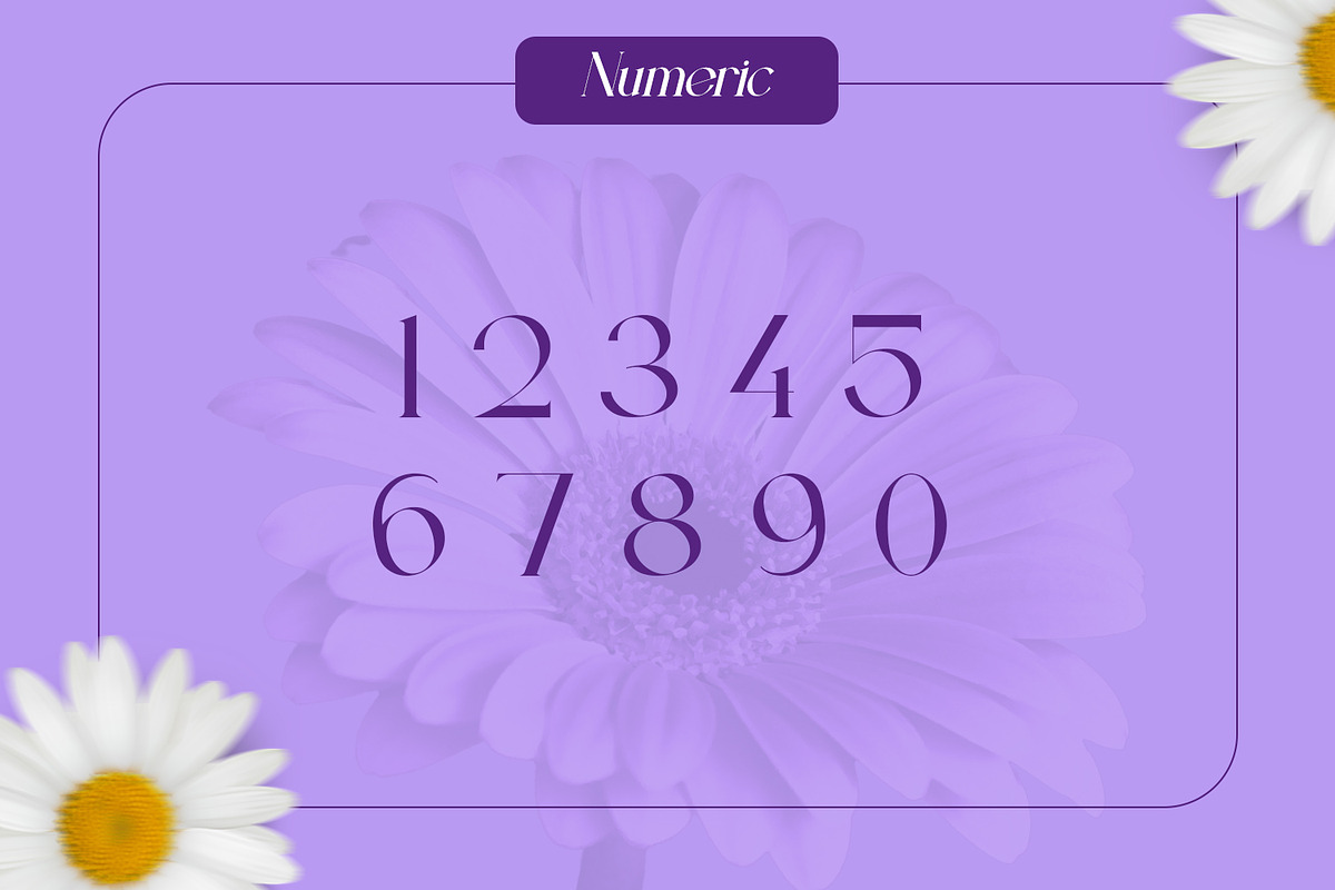 Eclime, a Serif Font by Rishsketch (Photo 9 of 12)