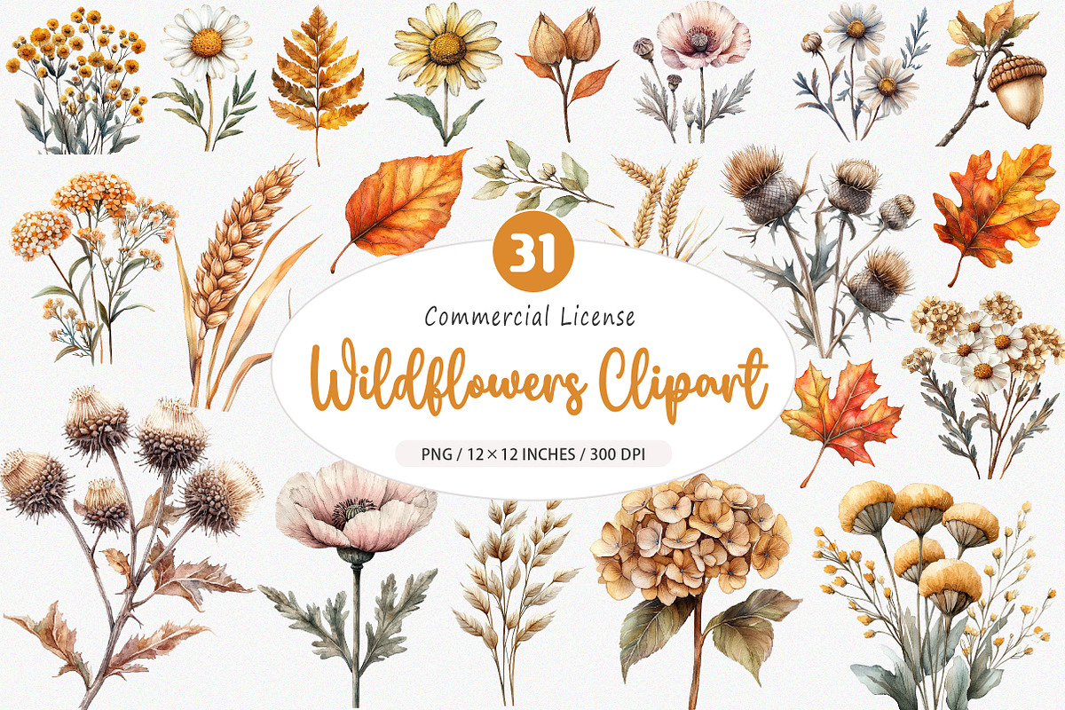 Watercolor Wildflowers Clipart, an Illustration by SinaCreation (Photo 1 of 5)