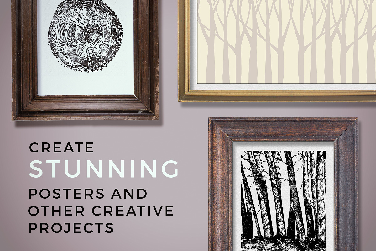 Northern Wilderness Collection: Tree, an Illustration by Barn Owl Studio (Photo 3 of 6)