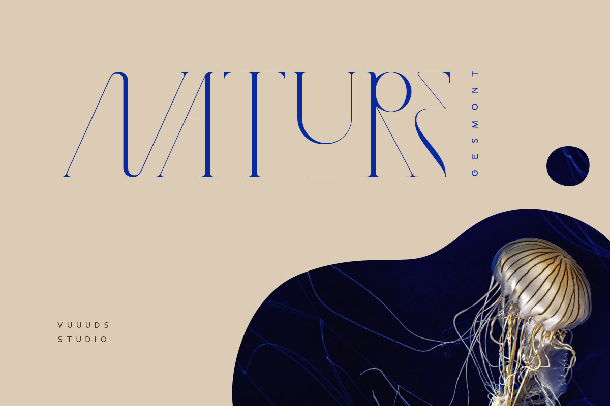 Gesmont, a Serif Font by vuuuds (Photo 12 of 17)