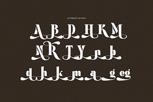 Megina Elegant Ligature Serif Font