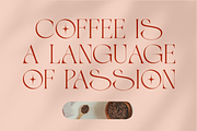 Maison Salome, a Serif Font by zeenesia (Thumbnail 9 of 16)