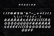 Stable - An Elegant Display Font, a Sans Serif Font by overlaytemplates (Thumbnail 5 of 7)