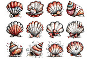 Whimsical Summer Seashell Clipart, an Illustration by DreamArtGraphic (Thumbnail 2 of 4)
