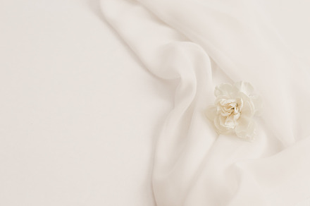 Elegant whiteneutral floral stock featuring styled stock, lifestyle, and flat