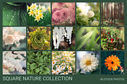 Nature bundle, a Nature Photo by EkaterinaPlanina (Thumbnail 1 of 3)