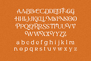 Ghiena - Display Serif Typeface, a Serif Font by Aksapix Studio (Thumbnail 8 of 10)