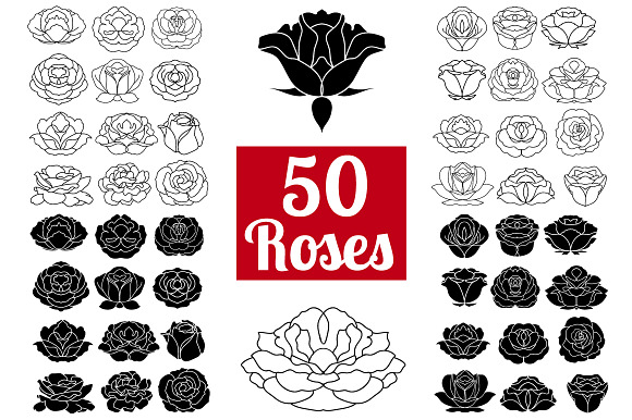 50 Rose Flowers Logo Bundle