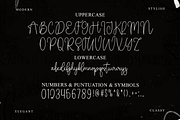 Southelia, a Handwritten Font by FreshTypeINK (Thumbnail 7 of 8)
