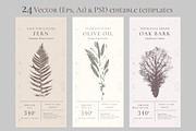 Herbal Design Kit: Vector & PSD, a Templates & Theme by Lumitar (Thumbnail 4 of 8)