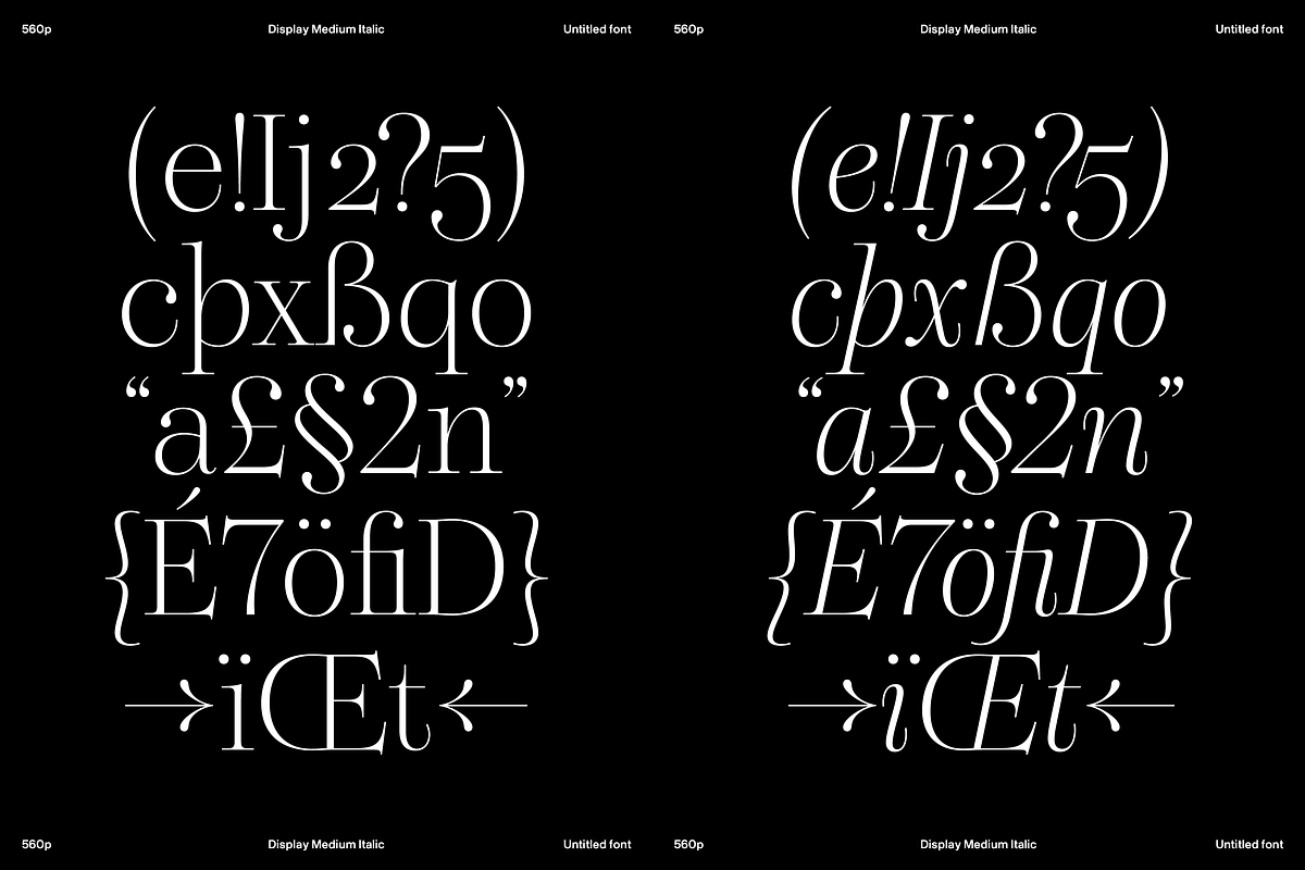 Dupioni Thin - Ligature Serif, a Serif Font by Silktype (Photo 14 of 20)