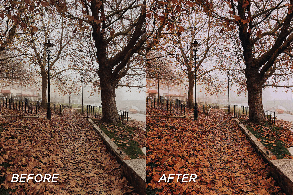 15 Autumnal Lightroom Presets, a Preset Add-On by TheWayfarerShoppe (Photo 7 of 8)