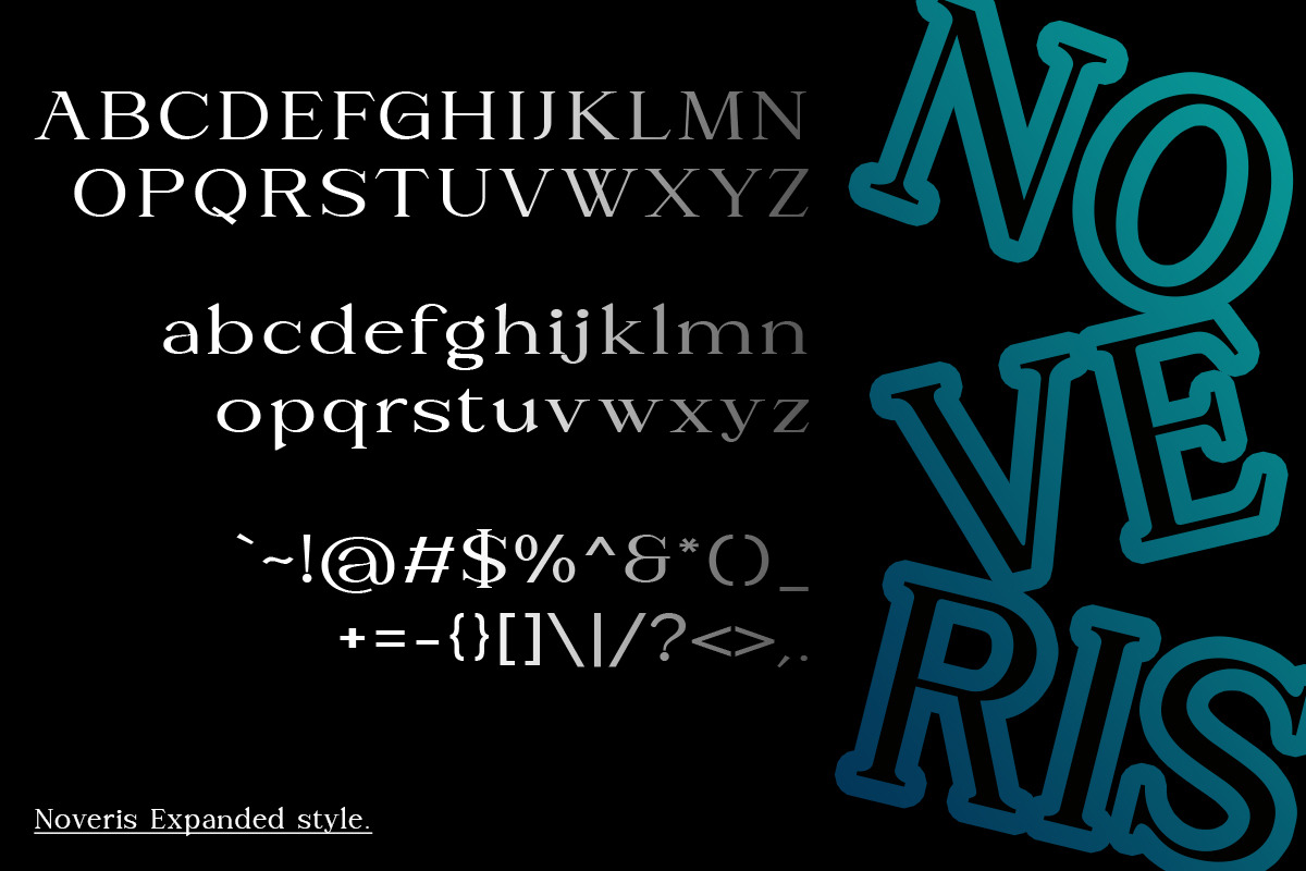 Noveris, a Serif Font by Slex Studio (Photo 5 of 12)
