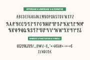 Welcome Holiday - Script Font Duo, a Script Font by Jozoor (Thumbnail 9 of 9)