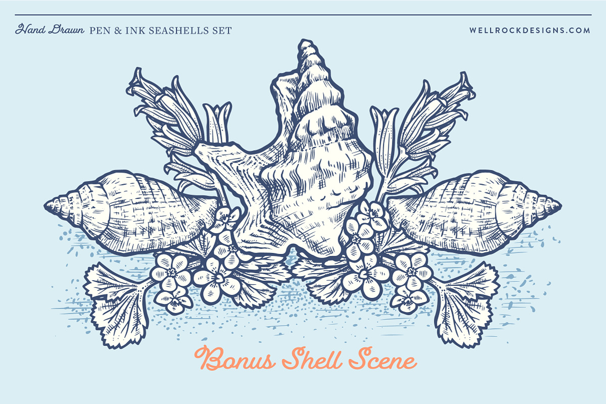 Sea Shells(Vector) + Beach Bonus, an Object Illustration by Well Rock Designs (Photo 5 of 9)