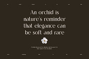 Gimen Elegant Ligature Serif Font, a Serif Font by Perfectype (Thumbnail 5 of 8)