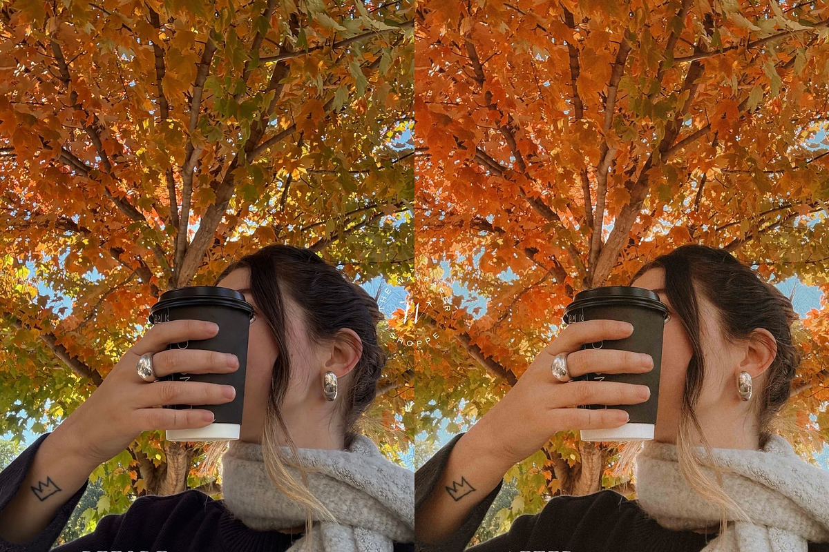 15 Vibrant Fall Lightroom Presets, a Preset Add-On by TheWayfarerShoppe (Photo 3 of 9)