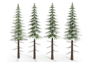 Canadian Spruce Tree Snow V3