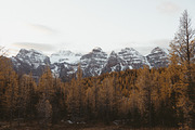 Film Look Lightroom Presets, an Action Add-On by I & M Lightroom Presets (Thumbnail 8 of 15)