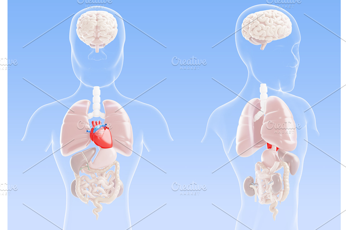 3d heart disease visualization -, a Healthcare Illustration by Marozhkastudio