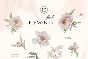 ROMANTIC PEONIES Watercolor Set