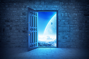 The door