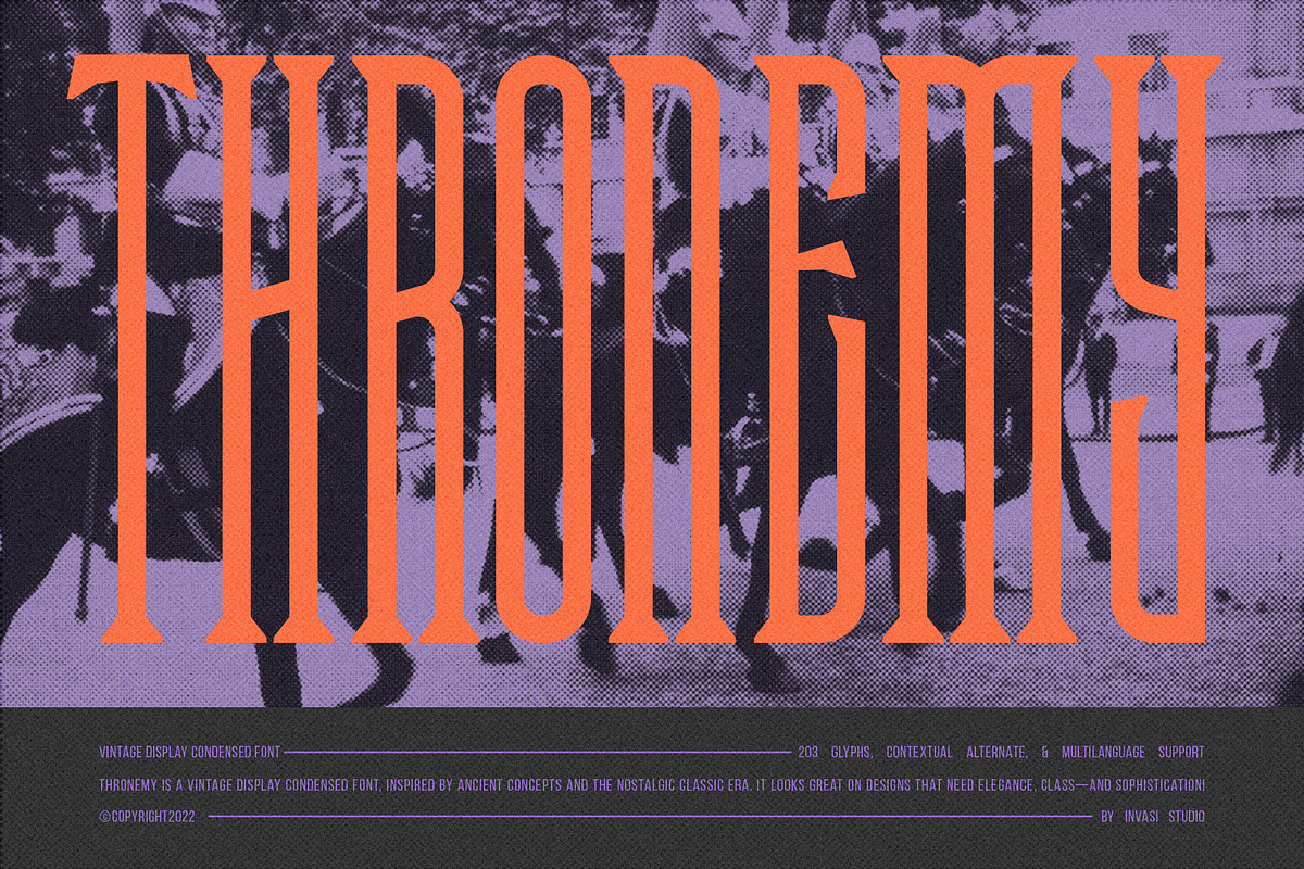 Thronemy - Condensed Serif Display, a Serif Font by Invasi Studio (Photo 1 of 8)