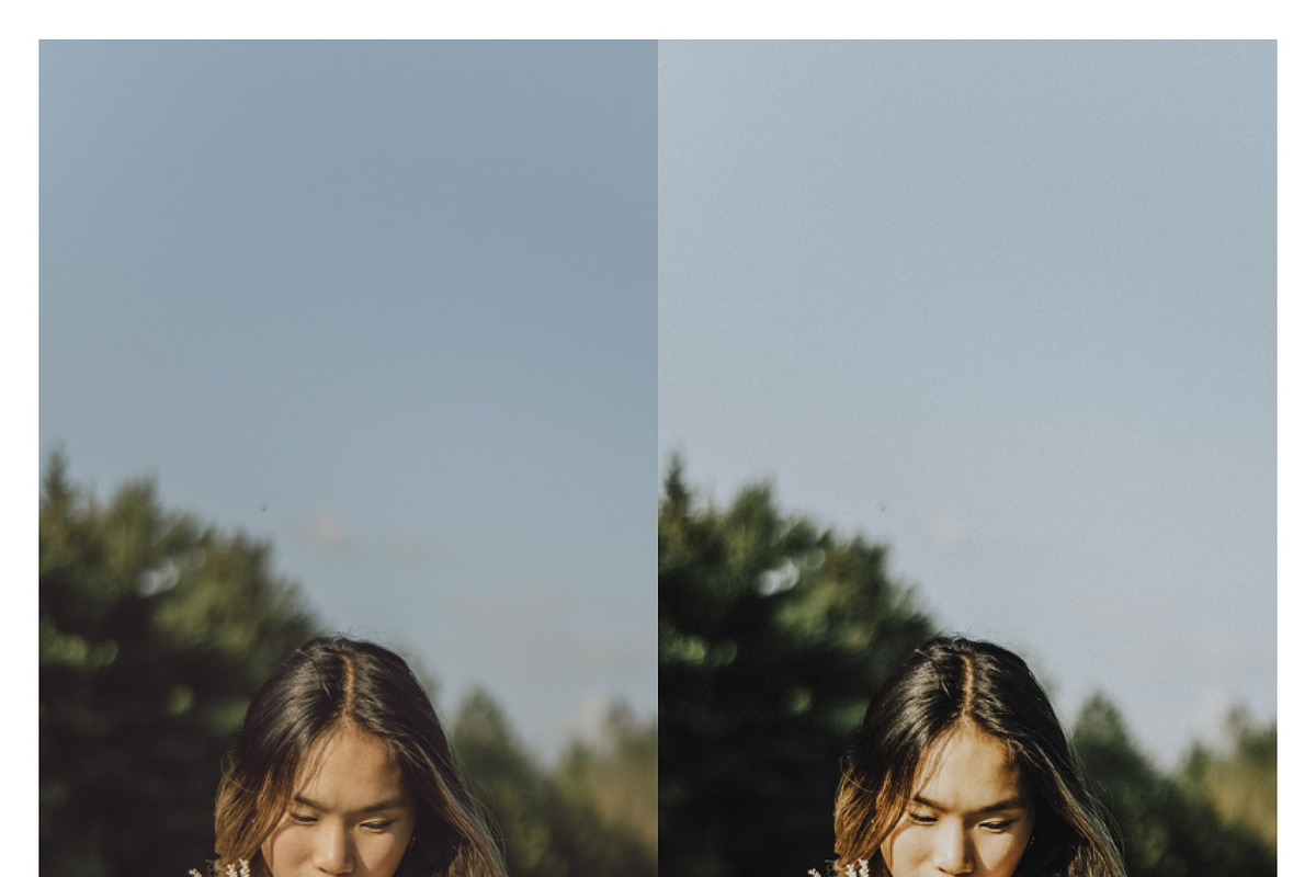 Cinematic Film Lightroom Presets, an Action Add-On by Daily Studio (Photo 3 of 10)