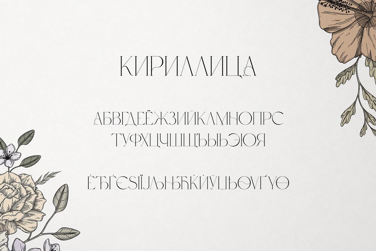Probity - Creative serif font + more, a Serif Font by VP Fonts (Photo 17 of 22)