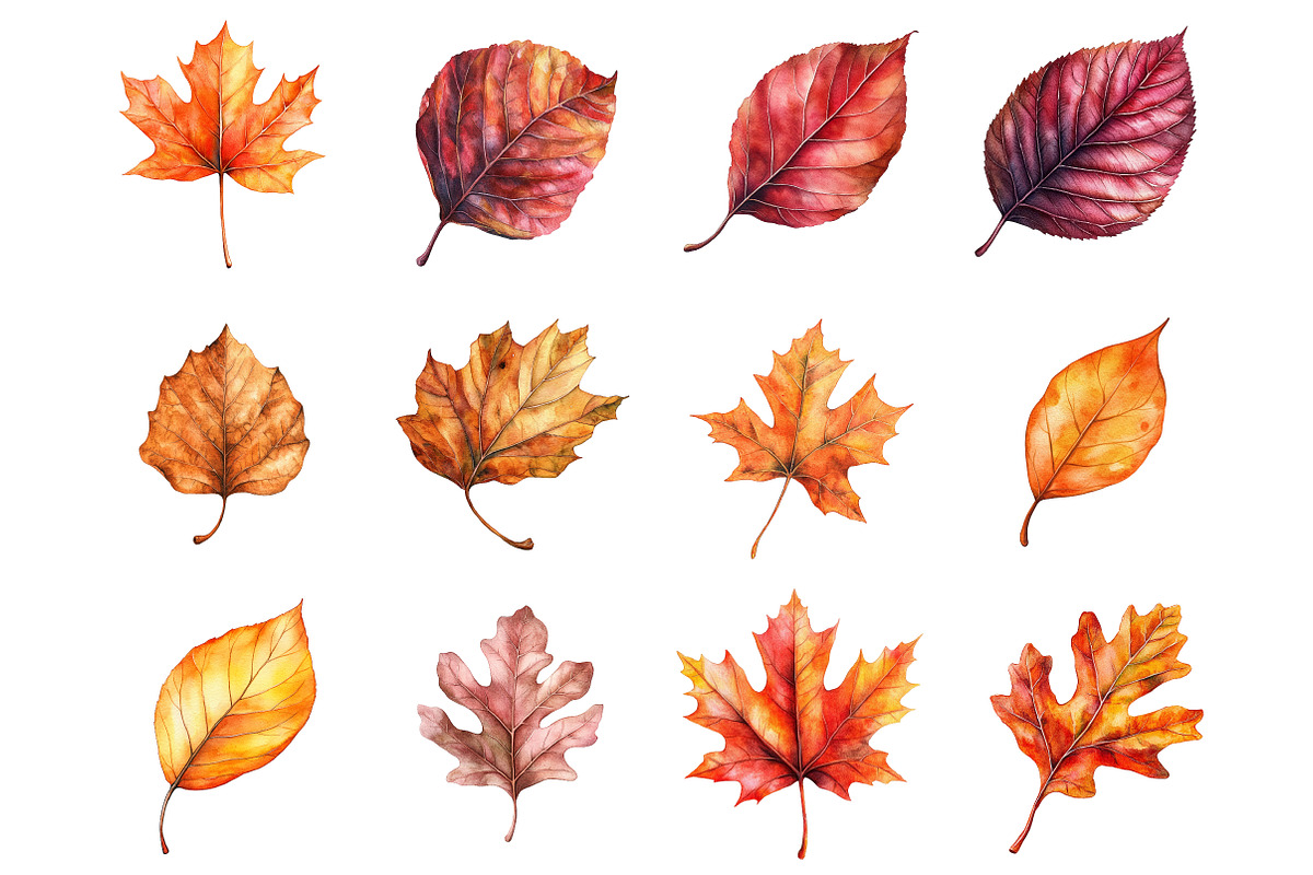 Watercolor Fall Leaves Clipart, a Seasonal Illustration by CitraGraphics (Photo 4 of 5)