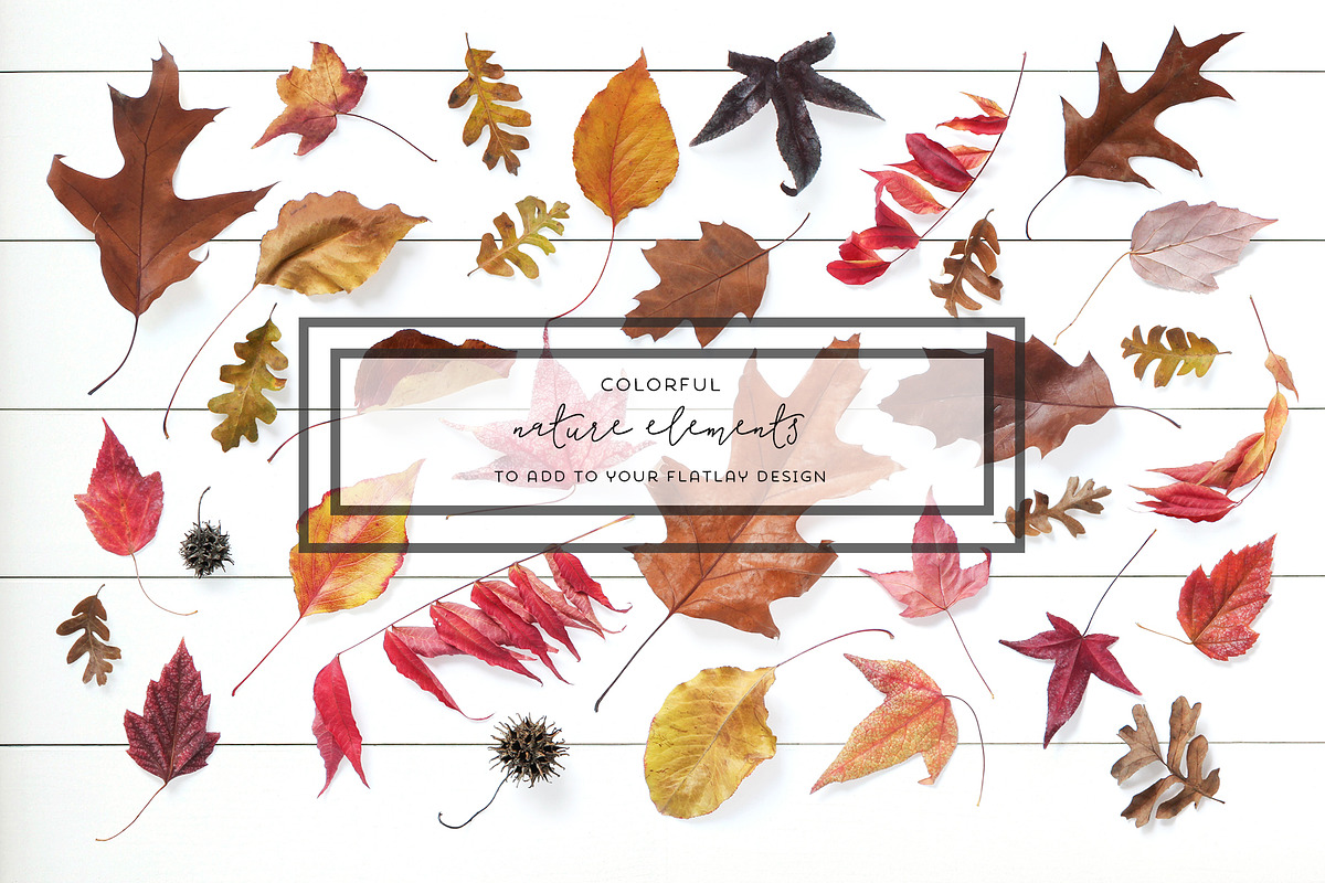 Flatlay Stationery Mockup Creator, a Product Mockup by ILLONA GRAPHICS (Photo 5 of 8)