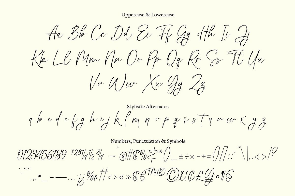 Handsome Lasting Script, a Script Font by moriztype (Photo 8 of 14)