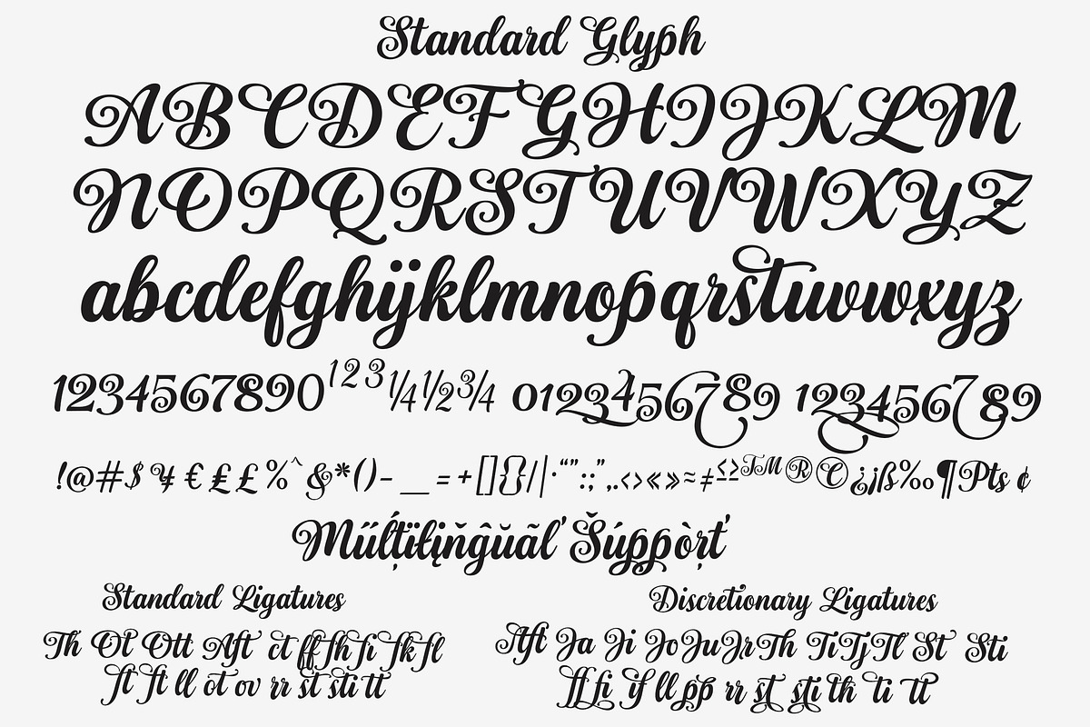 Sefillia Script, a Script Font by joelmaker (Photo 11 of 14)