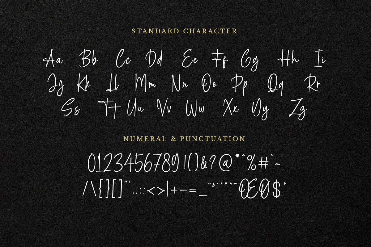 Cattalina Signature Monoline Script, a Handwritten Font by Geelator Studio (Photo 10 of 11)