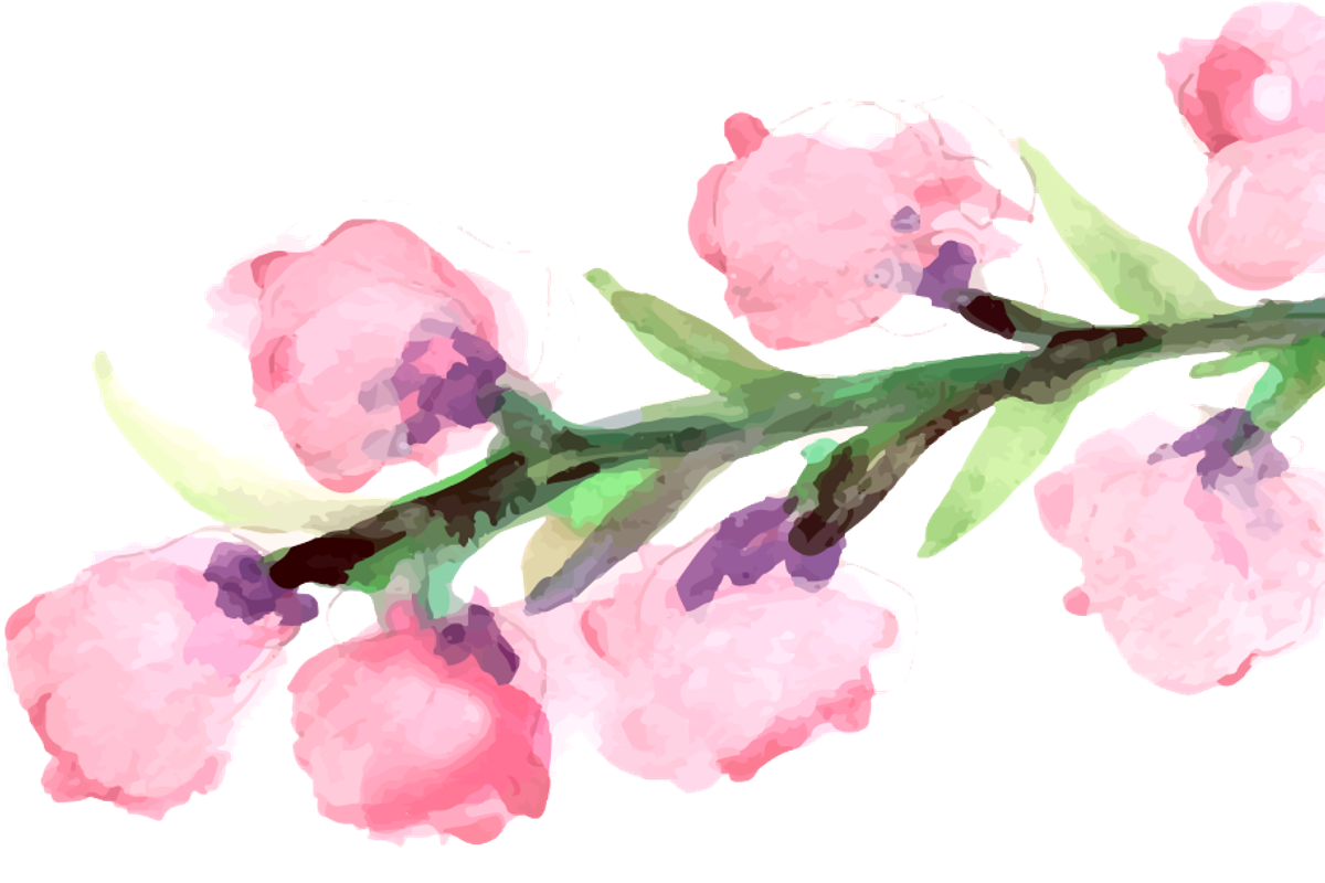 Handpainted Flowers, an Illustration by Karen Fields Design (Photo 2 of 4)