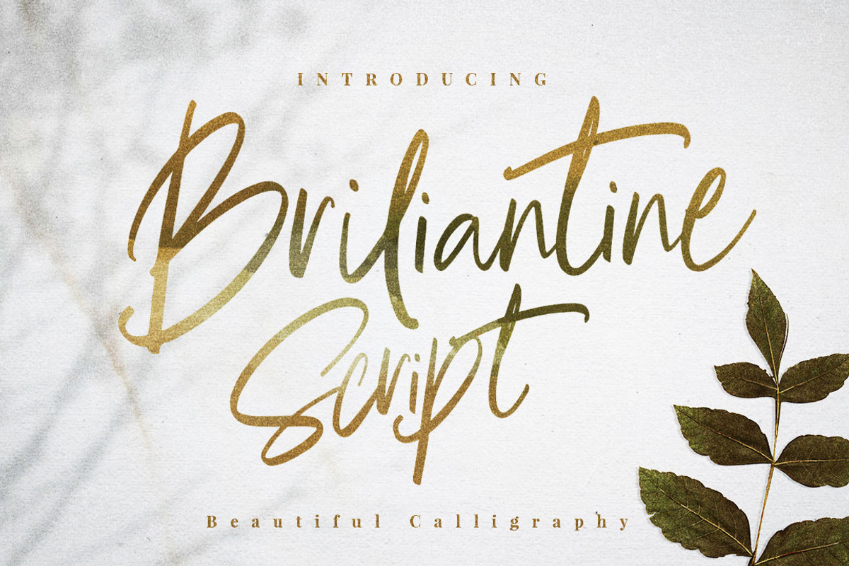 Briliantine Beautiful Script, a Script Font by Putra Khan (Photo 25 of 25)