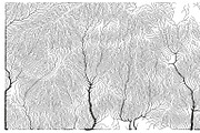 Growth - 50 Backgrounds, a Texture Graphic by GarryKillian (Thumbnail 46 of 51)