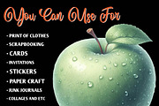 Mint Fresh Green Autumn Clipart, an Illustration by CreationArt (Thumbnail 4 of 9)
