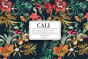 Cali Seamless Pattern