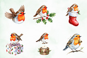 Christmas Robin Bird PNG Clipart, an Illustration by Creative Art (Thumbnail 2 of 10)