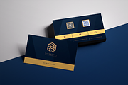 lean & Elegant Business Card Templat, a Business Card Template by Nikolozgraphic (Thumbnail 1 of 5)