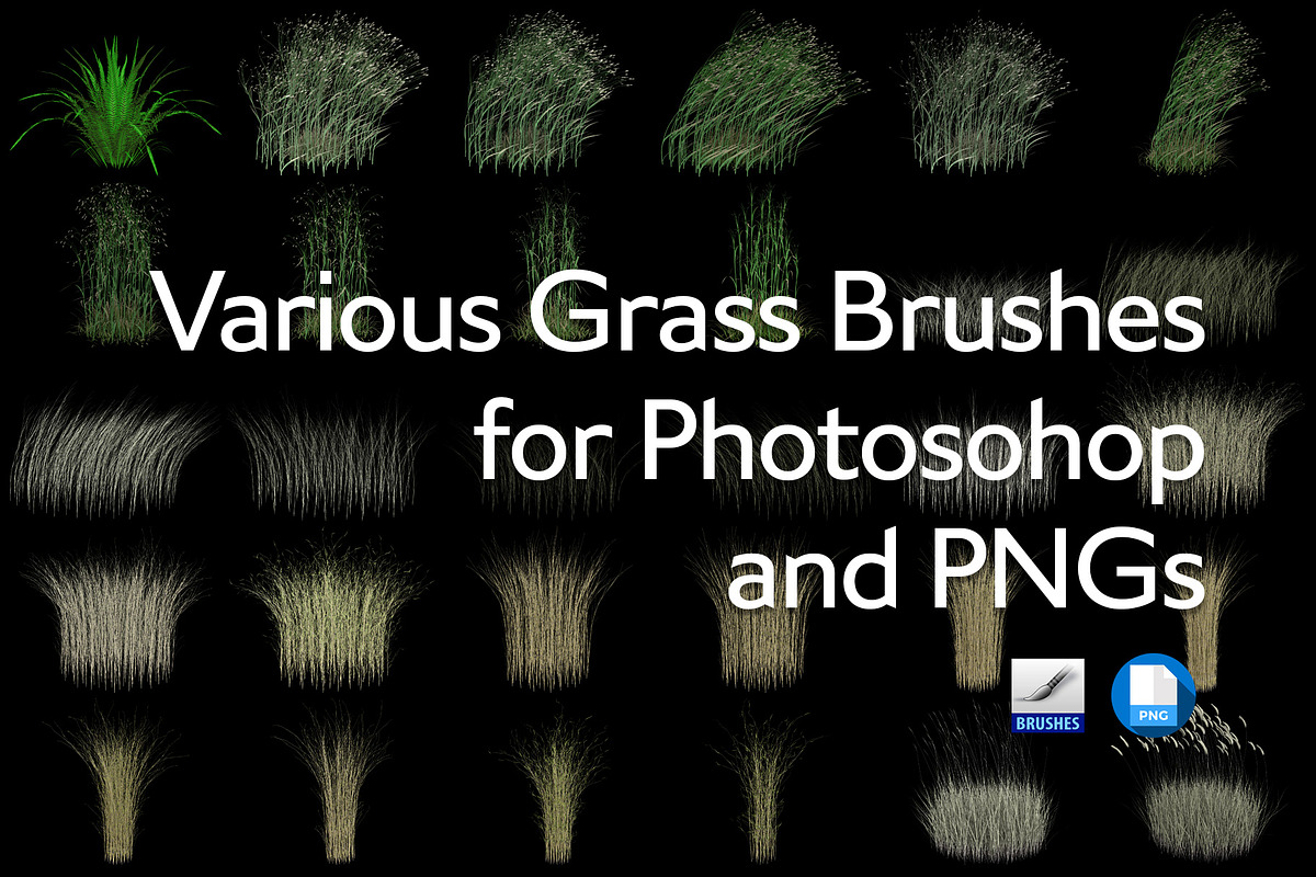Various Grass Brushes for PS & PNGs, a Brush Add-On by Creative Graphics (Photo 2 of 5)