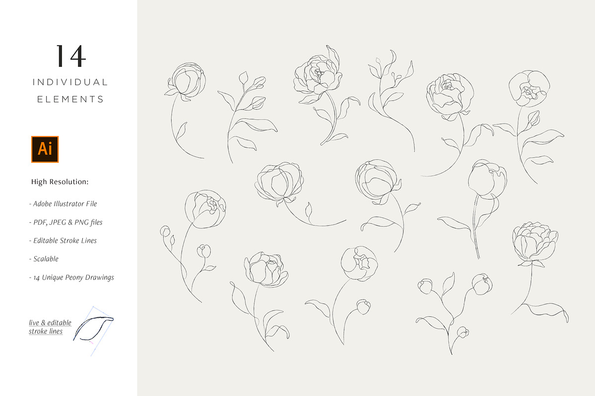 Minimalist Peony Line Sketches, a Decorative Illustration by Galerie Design Studio (Photo 2 of 10)