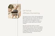 Affiliate Marketing Blueprint, a Marketing Template by Brand Your Biz Co. (Thumbnail 7 of 10)