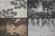 50 plants shadows, a Mockup by AnastasiyaOleynik (Thumbnail 2 of 14)